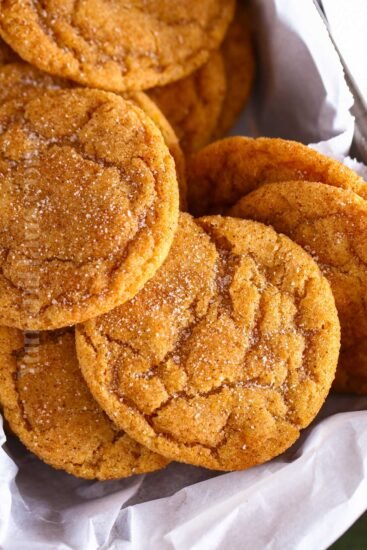 Homestead Blog Hop Feature - Pumpkin Snickerdoodles