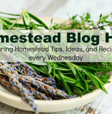 Homestead Blog Hop
